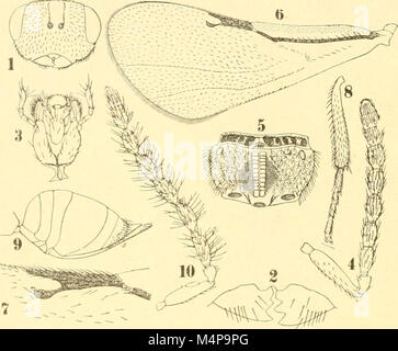 Bollettino del Laboratorio di Europa generale e Agraria della R. Scuola Superiore d'Agricoltura in Portici (1914) (20365687286) Stockfoto