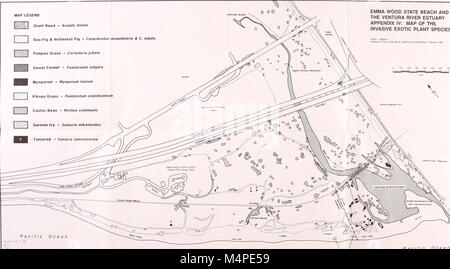 Botanische Ressourcen Emma Holz State Beach und die Mündung des Flusses Ventura, Kalifornien - Inventory und Management - Bericht an den Staat Kalifornien Abteilung der Parks und Erholung - von Wayne R. (20393356232) Stockfoto