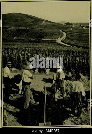 Botanik der Zu-Tag, einem beliebten jüngsten bemerkenswerte Entdeckungen (1909) (20379693276) Stockfoto