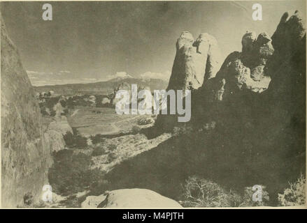 Brigham Young University science Bulletin (1955) (20227161618) Stockfoto