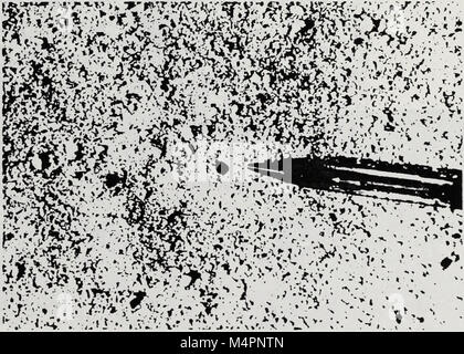 Bruneau Dunes tiger Beetle bestand - Abschlussbericht für Herausforderung Kosten teilen Projekt-D010-P 3-0097 (1994) (19796649184) Stockfoto