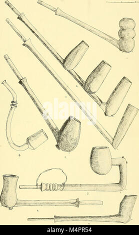 Annalen der South African Museum = Annale van sterben Suid-Afrikaanse Museum (1929) (17794784183) Stockfoto