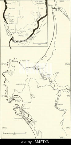 Annalen der South African Museum = Annale van sterben Suid-Afrikaanse Museum (1975) (17793168554) Stockfoto