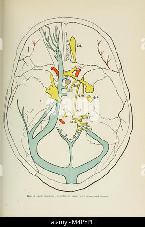 Jährliche und analytische cyclopedia für praktische Medizin; (1901) (14576578478) Stockfoto