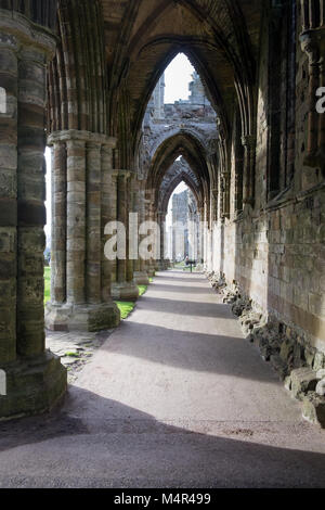 Whitby Abtei, North Yorkshire Stockfoto