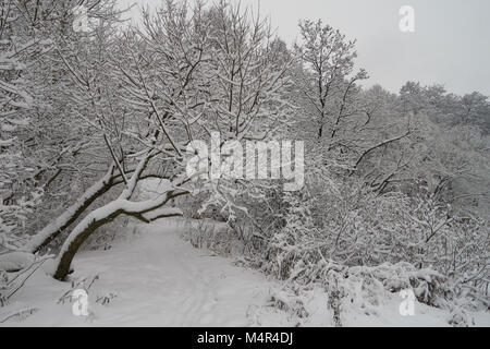 Schönen winter Szene im Park in der Nähe von Yauza River nach starker Schneefall, Babushkinkiy District, Moskau. Stockfoto