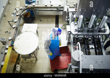 Arbeiten, die von Meeresfrüchten Produktionslinie Stockfoto