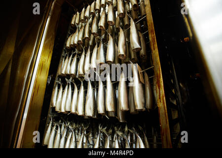 Fisch-Rauchen Stockfoto