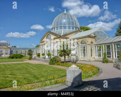 Der große Wintergarten auf dem Gelände des Syon Park, London, England Stockfoto