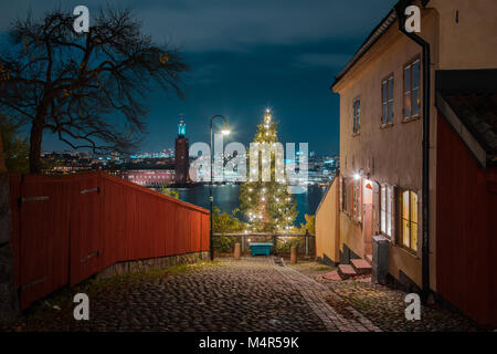 Die Stockholmer Innenstadt mit historischen Rathaus und geschmückten Weihnachtsbaum in der Altstadt während der Blauen Stunde in der Dämmerung, Schweden Stockfoto