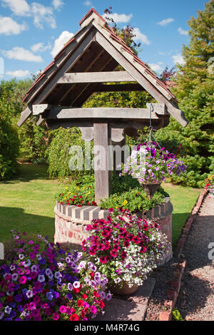 Alte Garten gut mit gemischten Petunien und calibrachoa gepflanzt Stockfoto