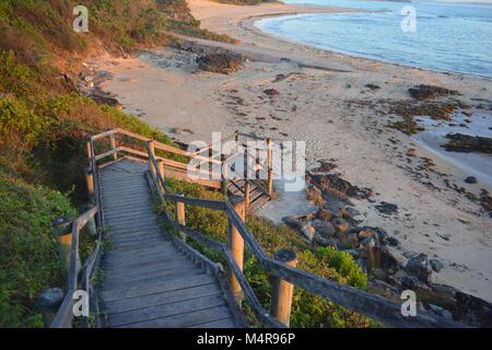 Morgens fällt Sonnenlicht auf die hölzernen Stufen, die von Bonville Headland hinunter nach Rocks and Sawtell Beach, Mid North Coast NSW Australien führen Stockfoto