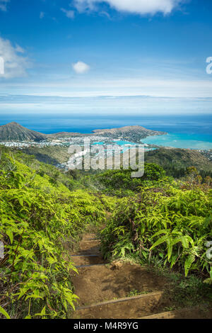Eine erhöhte Sicht auf üppig grüne Vegetation, das tiefblaue Meer und die Nachbarschaft von Hawaii Kai. Stockfoto