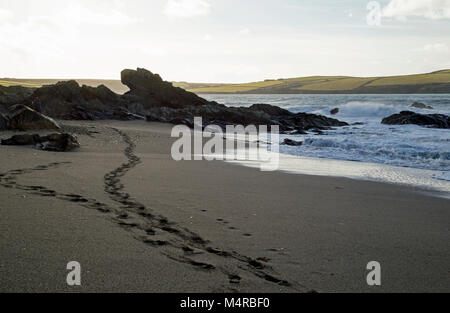 Cornish Beach Szene mit Fußspuren im Sand in Richtung Felsen. Stockfoto