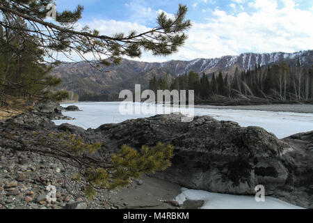 Katun Flusses im Frühjahr, Republik Altai, Russland Stockfoto