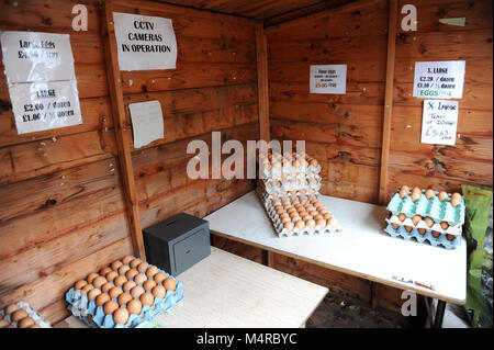 Ehrlichkeit Box für Eier an AireyHolme Farm, Great Ayton. Stockfoto