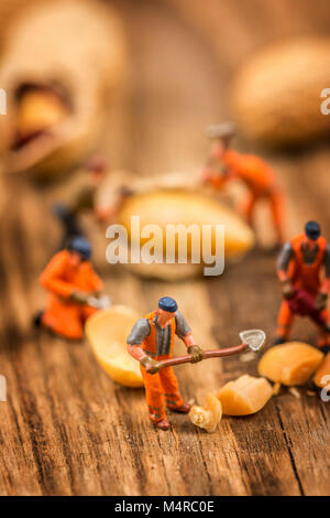 Miniatur Figuren arbeiten an Erdnüsse Makro Fotografie auf Holz Tisch Stockfoto