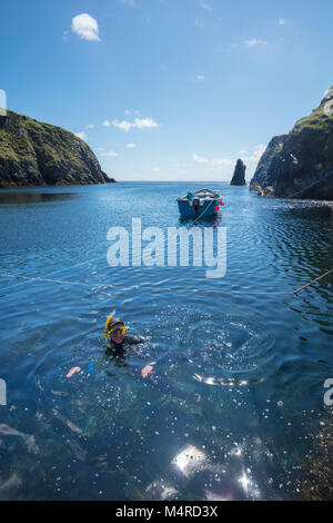 Schnorcheln in Malin Beg Harbour, County Donegal, Irland. Stockfoto