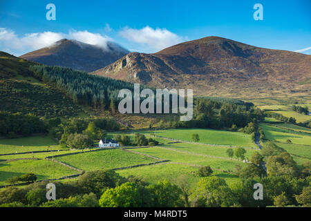 Wald und Ackerland unterhalb der Mourne Mountains, County Down, Nordirland. Stockfoto