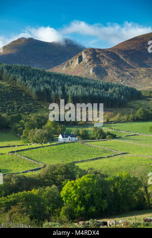 Wald und Ackerland unterhalb der Mourne Mountains, County Down, Nordirland. Stockfoto