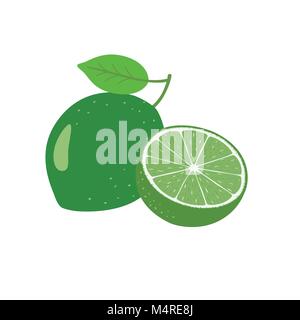 Kalk Obst Vector Illustration Stock Vektor