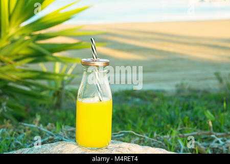 Glasflasche mit frisch gepressten tropischen Früchten Saft Stroh auf Felsen am Strand. Grüne Palmenblättern Sukkulenten im Hintergrund. Blue Sky Gol Stockfoto