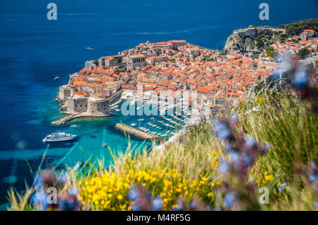 Luftbild der Altstadt von Dubrovnik, eines der bekanntesten touristischen Destinationen im Mittelmeer, von Srd Berg, Kroatien Stockfoto