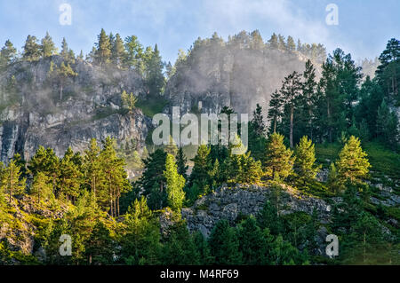 Scenics von wilden Wald - Taiga - in Sibirien Stockfoto