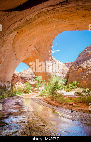 Weitwinkelansicht ein Wanderer mit Rucksack unter atemberaubende Jacob Hamblin Arch im Coyote Gulch, Grand Staircase - Escalante National Monument, Utah, USA Stockfoto