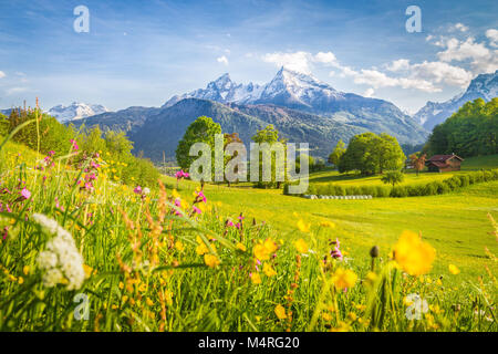 Schöne Aussicht auf die idyllische Bergkulisse der Alpen mit blühenden Wiesen und schneebedeckten Berggipfel an einem schönen sonnigen Tag mit blauem Himmel im Frühjahr Stockfoto