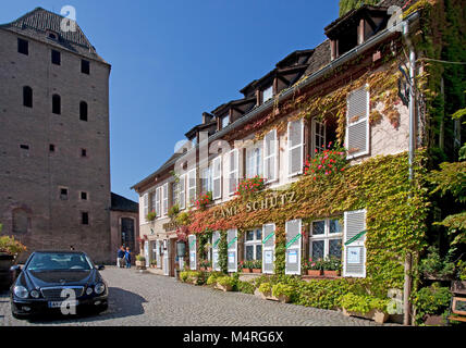 Herbst Farben, Wein ranken im Restaurant, L'Ami Schutz, La Petite France (Frankreich), Straßburg, Elsaß, Bas-Rhin, Frankreich, Europa Stockfoto