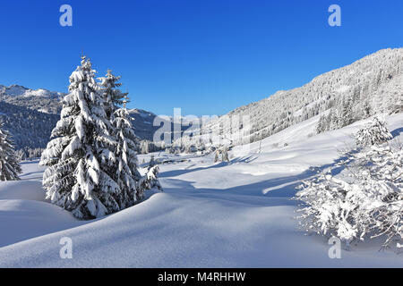 Tief verschneite Landschaft mit Wäldern und dem Bergdorf Balderschwang an einem schönen Wintertag. Bayern, Deutschland Stockfoto