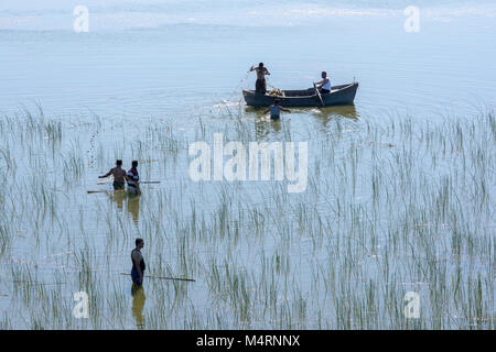 Lokale Fischer mit traditionellen Methoden von Fischen im Fluss Kizilirmak, Delta, Black Sea Region in der Türkei Stockfoto