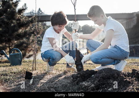 Freudige nette Jungs Holding einen Baum Stockfoto