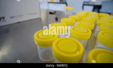 Gelbe Ampullen und Röhrchen im Labor Stockfoto