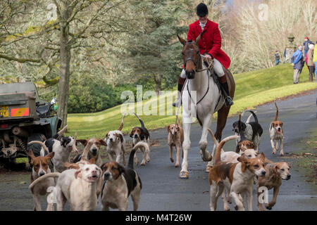 Selkirk, Philipaugh Immobilien, UK. 17.Feb.2018. Lauderdale Jagd Lauderdale Foxhounds treffen bei philiphaugh Immobilien in der Nähe von Selkirk (Foto: Rob Grau): Rob Grau/Alamy leben Nachrichten Stockfoto