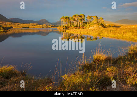 Sonnenuntergang Reflexionen im Derryclare Lough, Connemara, County Galway, Irland. Stockfoto