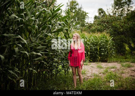 Schöne blonde Mädchen aussieht, um Maisstängel, die größer sind, als sie ist, und voll von Maiskolben in Upstate New York, USA. Stockfoto