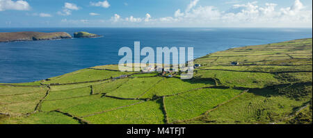 Grüne Felder umgeben die Weiler Ballynacallagh, dursey Island, Beara Halbinsel, County Cork, Irland. Stockfoto