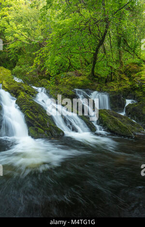 Wasserfall an der Canrooska Fluss, Glengarriff Naturschutzgebiet, Glengarriff, County Cork, Irland. Stockfoto