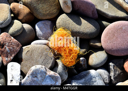 Bilder auf den 16. Februar 2018 in Porthcawl, South Wales. Übersicht Plastikmüll am Strand auch Abfälle und Müll am Strand zeigen Stockfoto