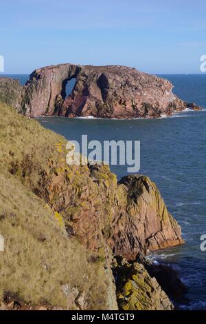 Der Bogen des Dunbuy, natürliche Meer Bogen durch eine rosa Granit Insel entlang der rauen Nordsee Klippen von Buchan, Cruden Bay, Aberdeenshire, Schottland, Großbritannien Stockfoto