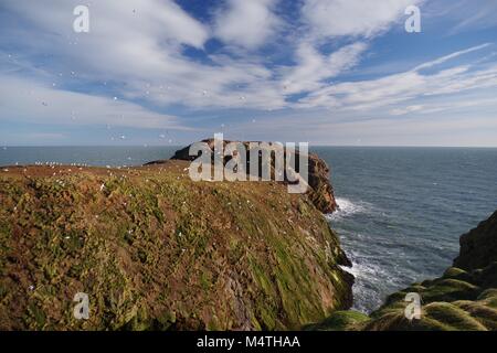 Robuste rosa Granit Seeklippen und wilden Nordsee Der Buchan Küste. Cruden Bay, Aberdeenshire, Nordostschottland, UK. Stockfoto