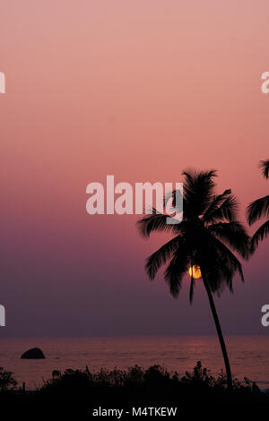 Palmen als Silhouetten vor dem Sonnenuntergang über dem Meer. Stockfoto
