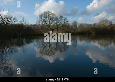 Eastrington Teiche, East Yorkshire, einem Naturschutzgebiet im Jahr 2002 in Anerkennung seiner Tierwelt Wert bezeichnet. Foto Februar 2018 Stockfoto