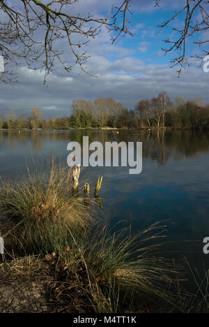 Eastrington Teiche, East Yorkshire, einem Naturschutzgebiet im Jahr 2002 in Anerkennung seiner Tierwelt Wert bezeichnet. Foto Februar 2018 Stockfoto