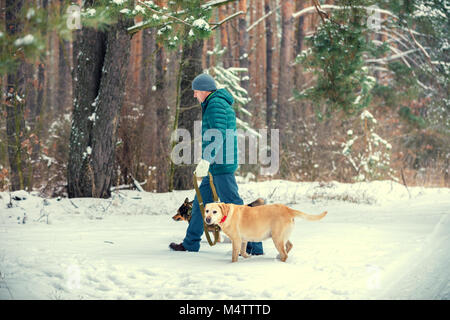 In den Wald im Winter gibt es einen Mann mit zwei Hunden auf Leinen Stockfoto