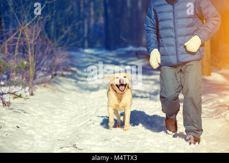 Ein Mann mit Hund läuft auf dem Weg in einer verschneiten Kiefernwald im Winter Stockfoto