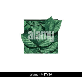 Kreative Gestaltung, Blätter mit weißem Papier. Flach. Natur Konzept. Stockfoto