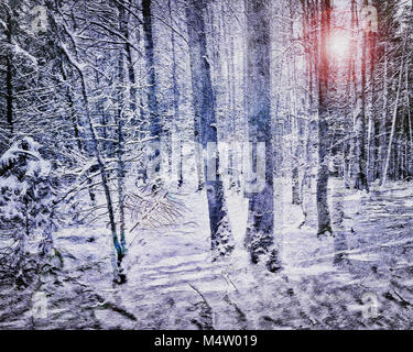 FOTOKUNST: Licht im Wald Stockfoto